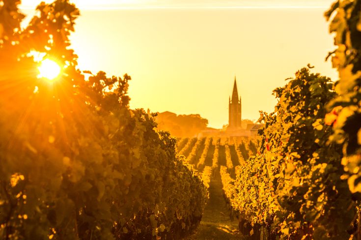 Bordeaux Wein Saint Emilion