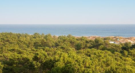 Monte Gordo Hotel Apartamentos & Spa