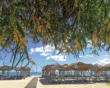 The Orangers Beach Resort & Bungalows-2