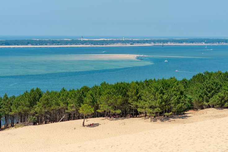 Blick auf die Dünen mit Wasser und Bäumen im Hintergrund.