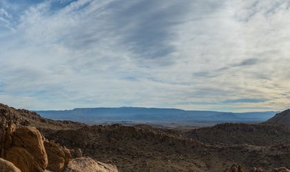 Grapesvine enchaned Rock