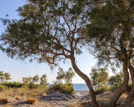 Scorpios Beach Santorini-0
