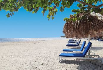 Serenade Punta Cana Beach & Spa Resort