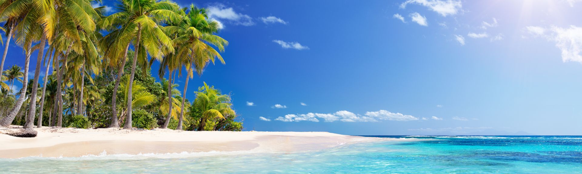 Karibischer Strand mit Palmen