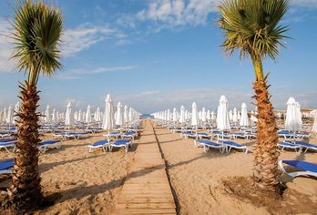 Hotel, Dream World Resort & Spa