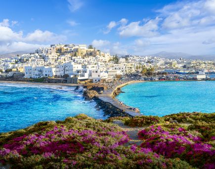 NAxos
