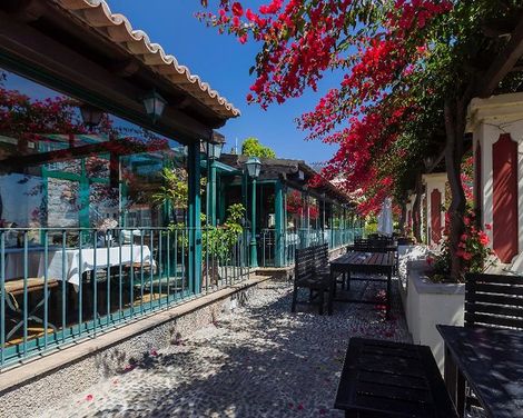 Quinta do Estreito Vintage House-1