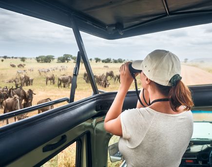 Frau schaut in einem Safari Auto auf wilde Zebras und Antilopen