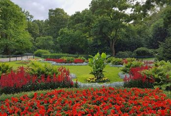 Scandic Berlin Kurfürstendamm