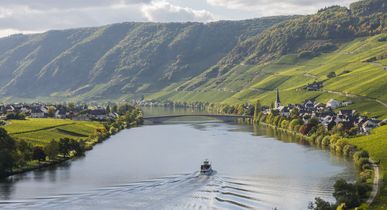 Ferienwohnungen Mosel