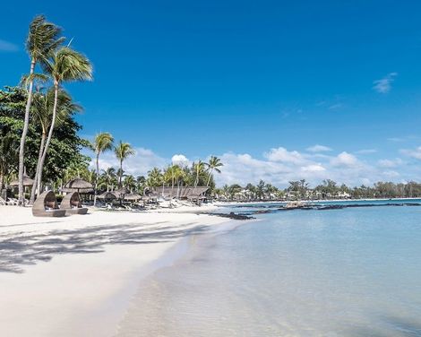 Ambre Mauritius-3