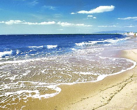 Horse Country Resort Congress & Spa-0