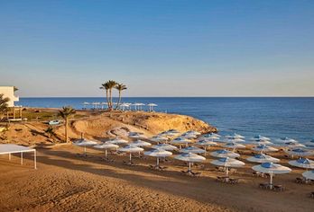 Solymar Reef Marsa