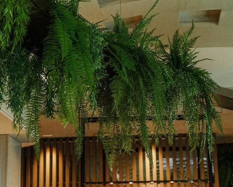 Inhala Hotel Garden-3