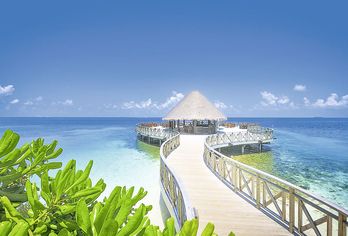 Hotel, Bandos Maldives