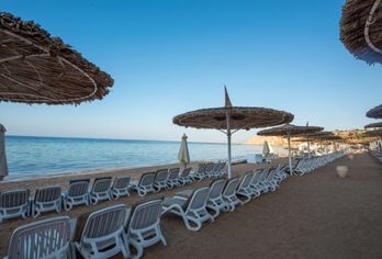 Hotel, Reef Oasis Beach Resort