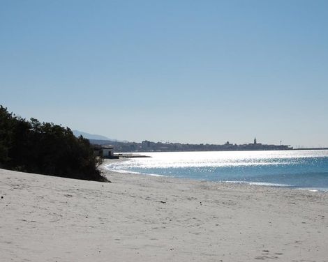 Residenza Buganvillea-0