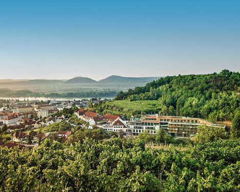 Steigenberger Hotel & Spa Krems-3