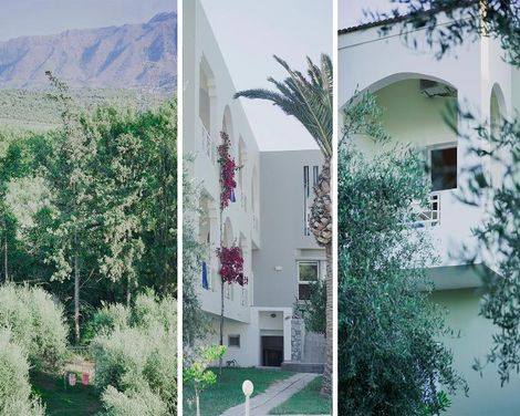 Vardis Olive Garden-2