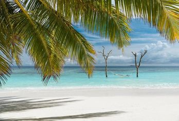 Hotel, Bandos Maldives