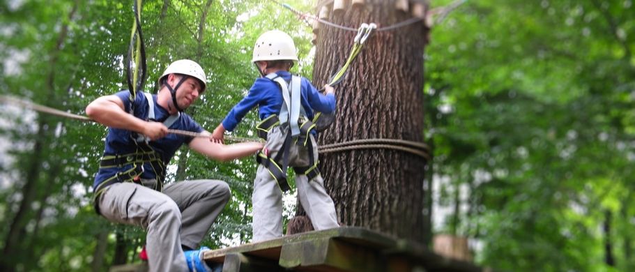 Abbildung