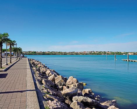 Camping Village Butterfly by Happy Camp-0