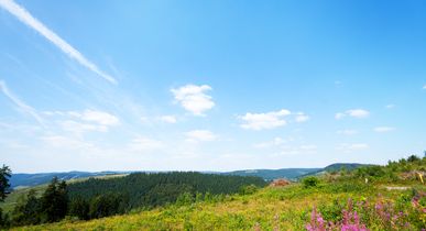 Hotels in Winterberg