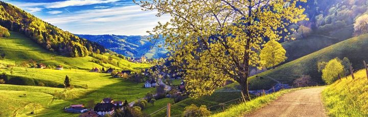 Schwarzwald