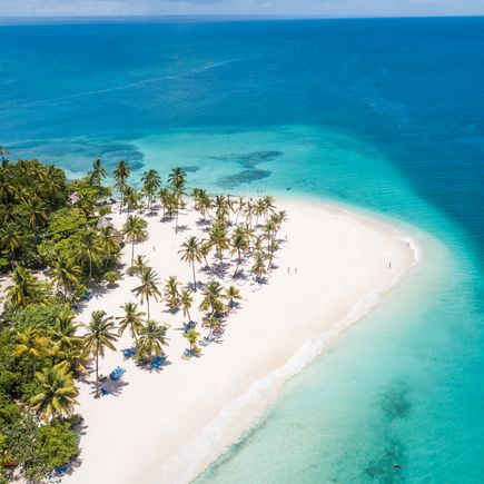  Cayo Levantado. Samaná Strand mit PAlmen und Meer