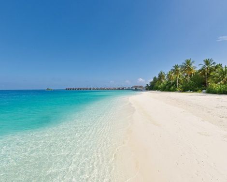 Safari Island Resort & Spa-0