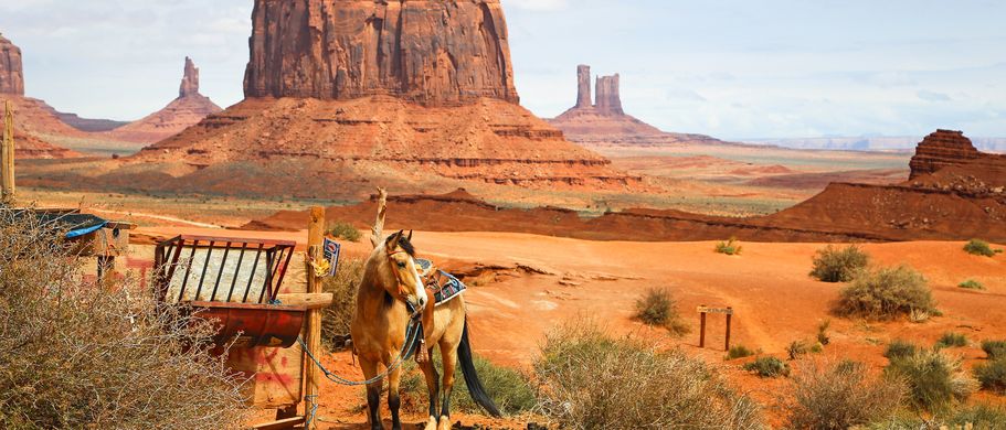 USA Nationalparks die Top Ten Reise Pferd im Monument Valley