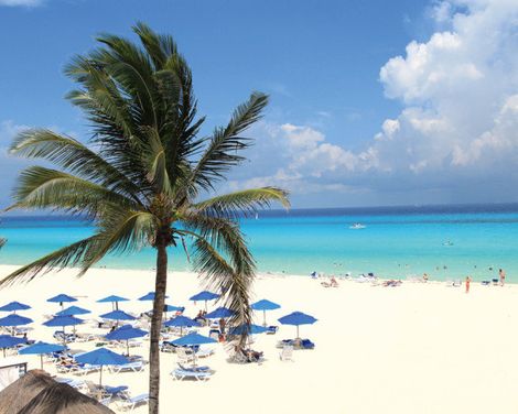 The Reef Playacar Beach Resort & Spa-4