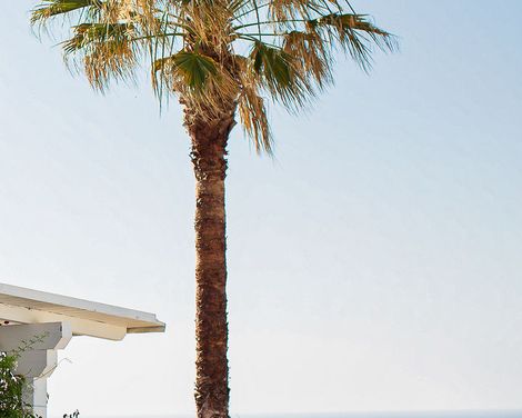 Hotel Pedraladda-0