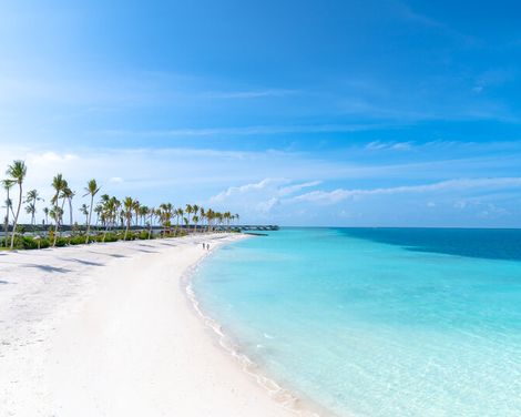 Joy Island-0
