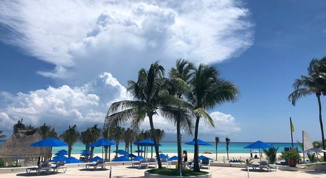 The Reef Playacar Beach Resort & Spa