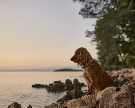 Malinska Green Apartments-3