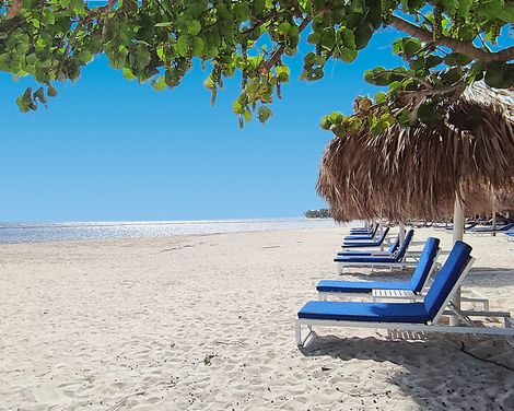 Serenade Punta Cana Beach & Spa Resort-0