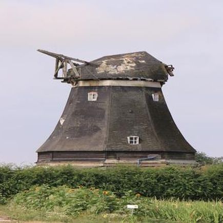 Fehmarn Mühle
