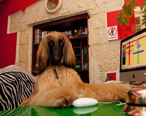 Miramare Cagliari Hotel Museo-2