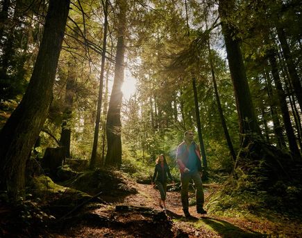 Paar wandert durch Wald