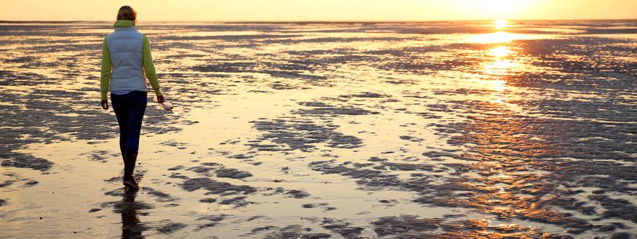 Spaziergang Wattenmeer 