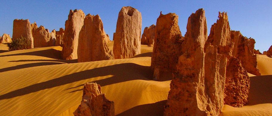 Camper Australien Urlaub Reisen Felsen im Wüstensand im Nambung Nationalpark