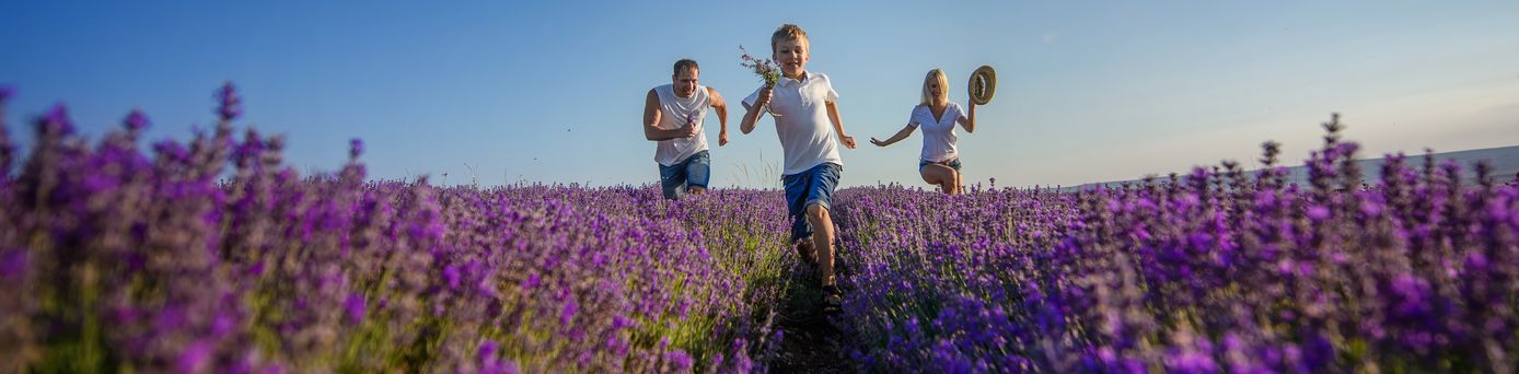 Familie im Lavendelfeld