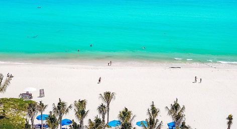 The Reef Playacar Beach Resort & Spa