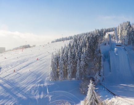 Rasante Abfahrt für Ski-Freerider