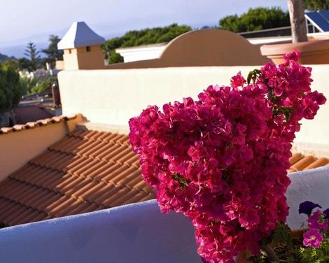 Hotel Carlo Magno-4