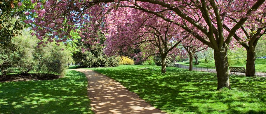 Hyde Park