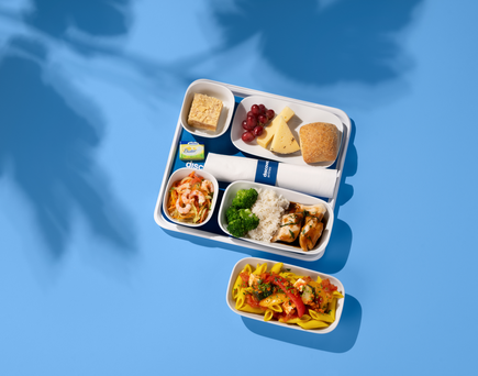 Premium Essen an Board der Discover Airlines