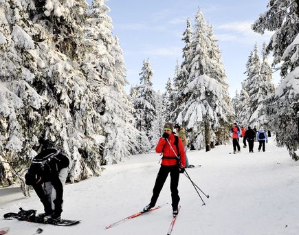 90 Kilometer Loipen erwarten Sie in Petzer