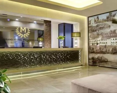 Grand Hotel Mediterraneo-3